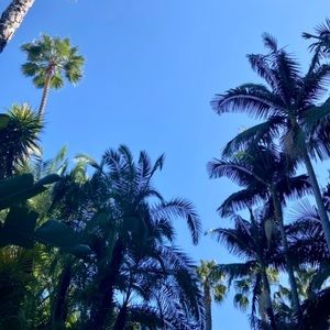 Meet your Posher, Annelise